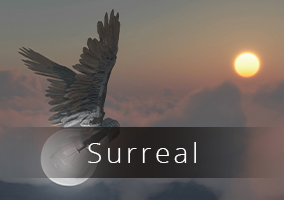 Surreal (12382)